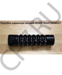 WG9719530227 Патрубок радиатора нижний  HOWO в городе Челябинск