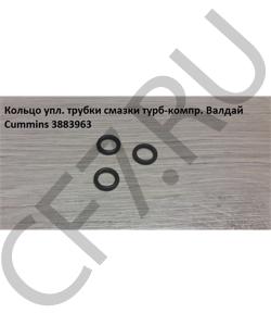 3922794 Кольцо упл. трубки смазки турб-компр. Валдай Cummins CUMMINS FOTON в городе Челябинск